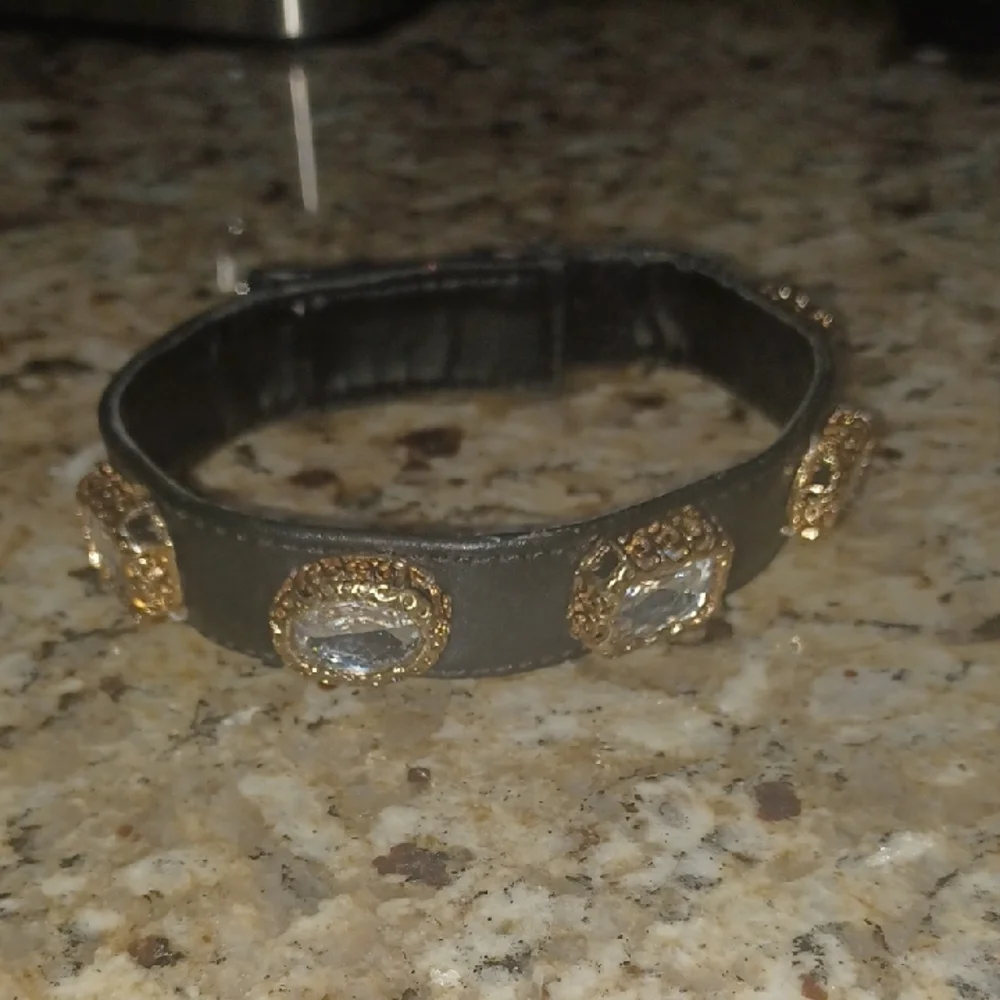 Small Luxurious Black and Gold cat Dog Collar